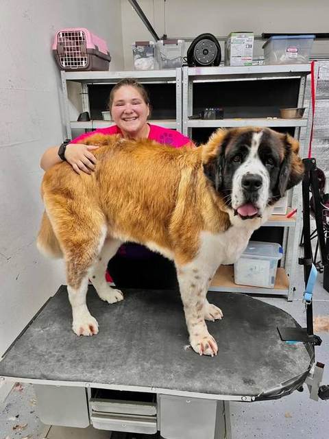 Imma big dog, I do big dog shit 🐾❤️😍